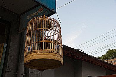 超过1300名动视暴雪员工要求CEO鲍比·科蒂克辞职